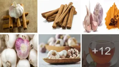 Aprende cómo perder peso con té de ajo y canela Aprende cómo perder peso con té de ajo y canela
