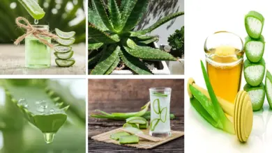 Depura y limpia tu cuerpo con áloe vera Depura y limpia tu cuerpo con áloe vera