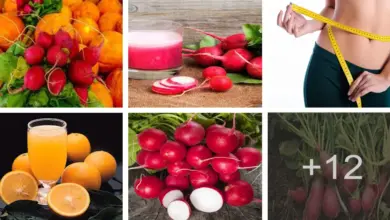 Cómo prepara jugo de naranja con rábano para delgazar Cómo prepara jugo de naranja con rábano para delgazar