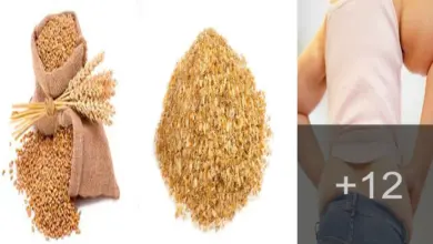 Como perder peso con germen de trigo Como perder peso con germen de trigo